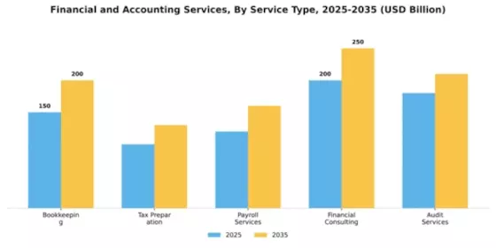 Financial and Accounting Services Market Segment Image 2