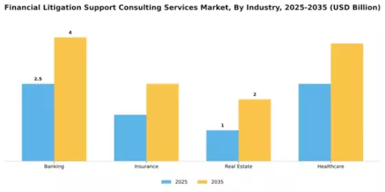 Financial Litigation Support Consulting Services Market Segment Image 3