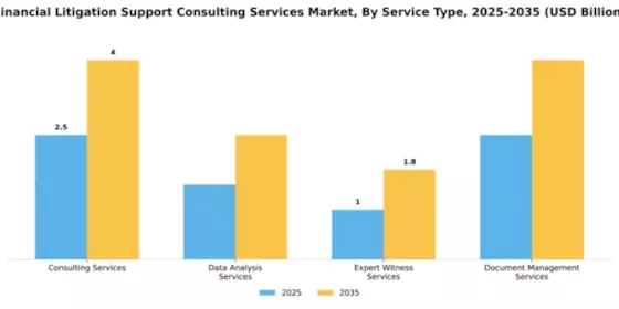 Financial Litigation Support Consulting Services Market Segment Image 4