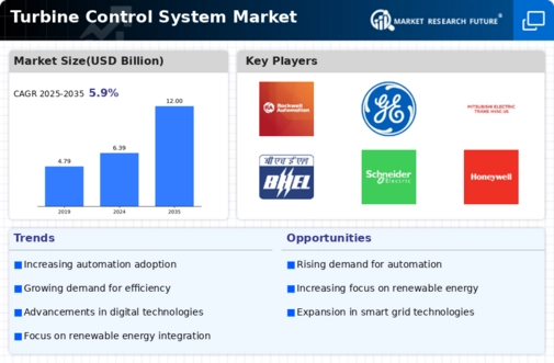 Turbine Control Systems Market Infographic
