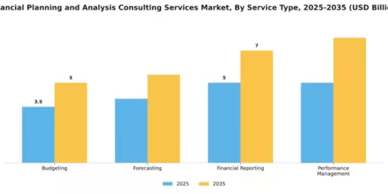 Financial Planning and Analysis Consulting Services Market Segment Image 4