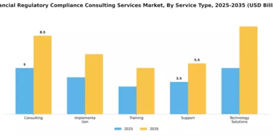 Financial Regulatory Compliance Consulting Services Market Segment Image 4