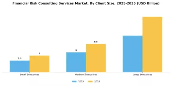 Financial Risk Consulting Services Market Segment Image 1