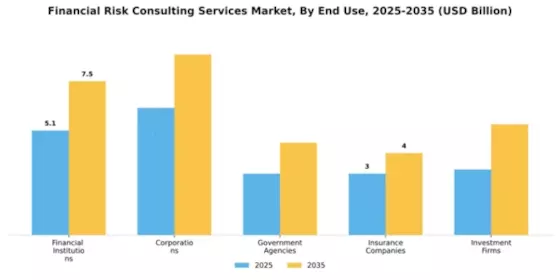 Financial Risk Consulting Services Market Segment Image 2