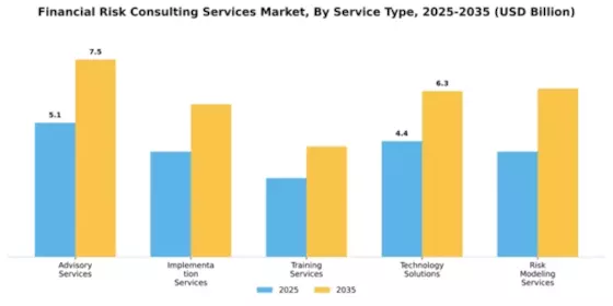 Financial Risk Consulting Services Market Segment Image 4