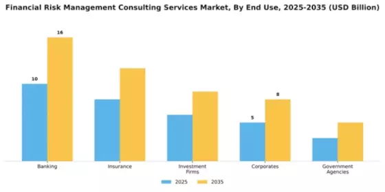 Financial Risk Management Consulting Services Market Segment Image 2