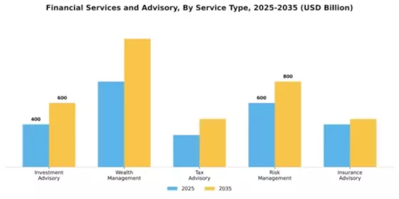 Financial Services and Advisory Market Segment Image 3