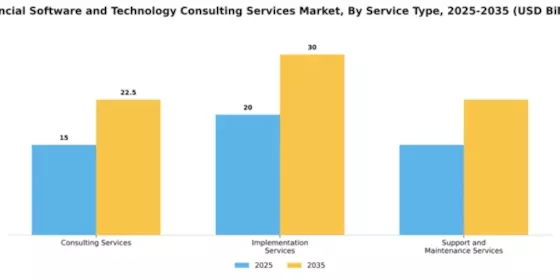 Financial Software and Technology Consulting Services Market Segment Image 3