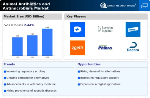 Animal Antibiotics and Antimicrobials Market Infographic