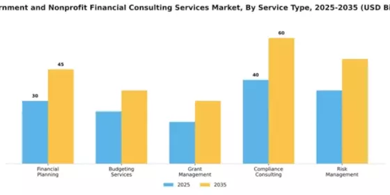 Government and Nonprofit Financial Consulting Services Market Segment Image 2