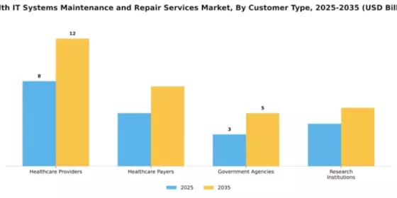 Health IT Systems Maintenance and Repair Services Market Segment Image 1