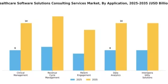 Healthcare Software Solutions Consulting Services Market Segment Image 0