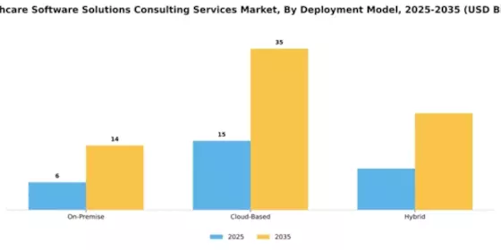 Healthcare Software Solutions Consulting Services Market Segment Image 2