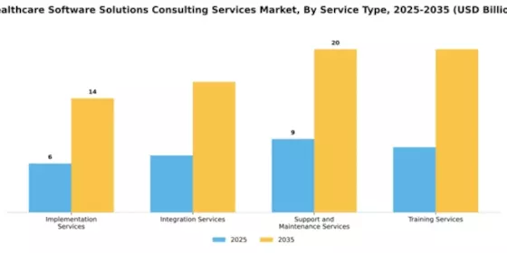 Healthcare Software Solutions Consulting Services Market Segment Image 4