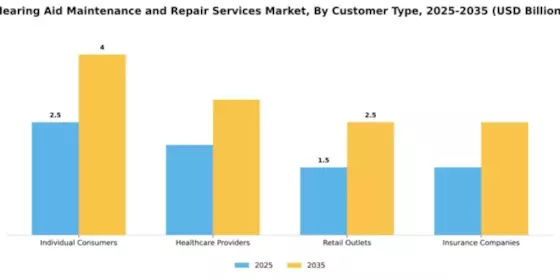 Hearing Aid Maintenance and Repair Services Market Segment Image 0