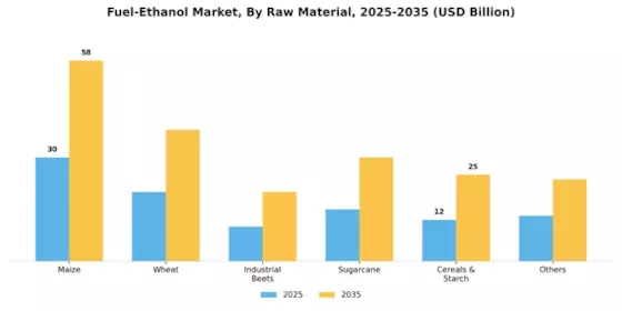 Fuel Ethanol Market Segment Image 1