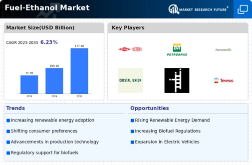 Fuel Ethanol Market Infographic