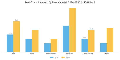 Fuel Ethanol Market Segment Image 1
