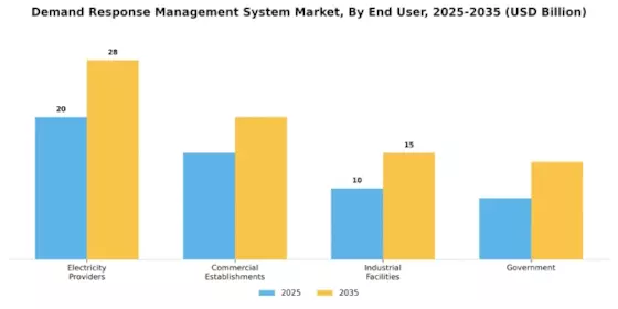 Demand Response Management System Market Segment Image 1