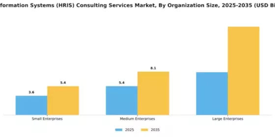 HR Information Systems (HRIS) Consulting Services Market Segment Image 3