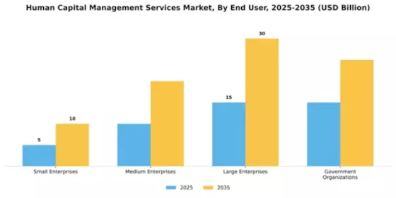 Human Capital Management Services Market Segment Image 1