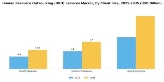 Human Resource Outsourcing (HRO) Services Market Segment Image 0