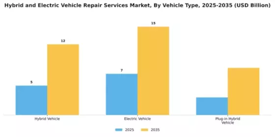 Hybrid and Electric Vehicle Repair Services Market Segment Image 3