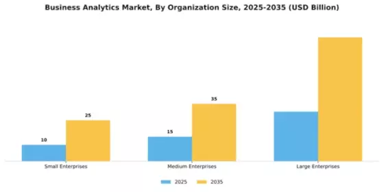 Business Analytics Market Segment Image 4