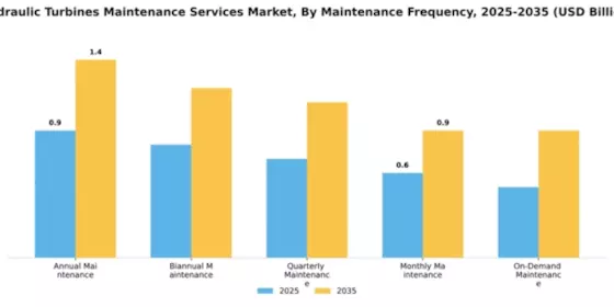 Hydraulic Turbines Maintenance Services Market Segment Image 2