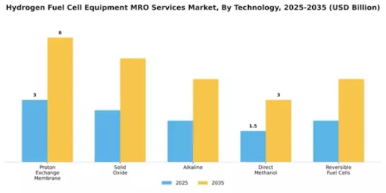 Hydrogen Fuel Cell Equipment MRO Services Market Segment Image 3
