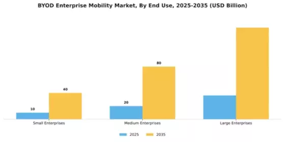 BYOD Enterprise Mobility Market Segment Image 3