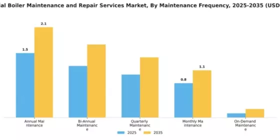 Industrial Boiler Maintenance and Repair Services Market Segment Image 3
