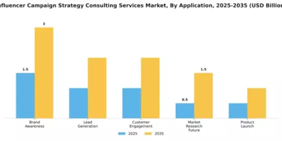 Influencer Campaign Strategy Consulting Services Market Segment Image 0