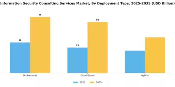 Information Security Consulting Services Market Segment Image 0