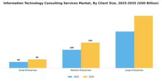Information Technology Consulting Services Market Segment Image 0