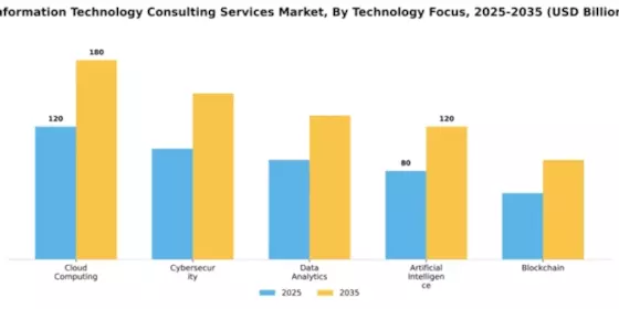 Information Technology Consulting Services Market Segment Image 4