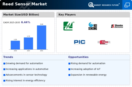 Reed Sensor Market Infographic