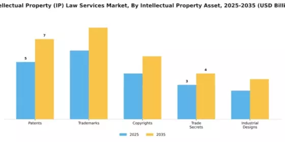 Intellectual Property (IP) Law Services Market Segment Image 2