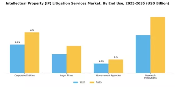 Intellectual Property (IP) Litigation Services Market Segment Image 2