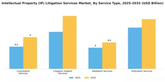 Intellectual Property (IP) Litigation Services Market Segment Image 4