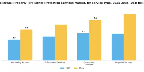 Intellectual Property (IP) Rights Protection Services Market Segment Image 3