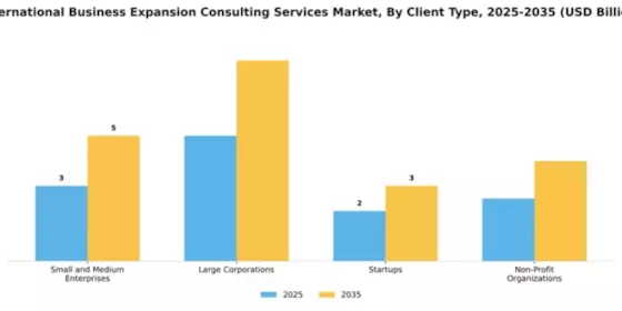 International Business Expansion Consulting Services Market Segment Image 0