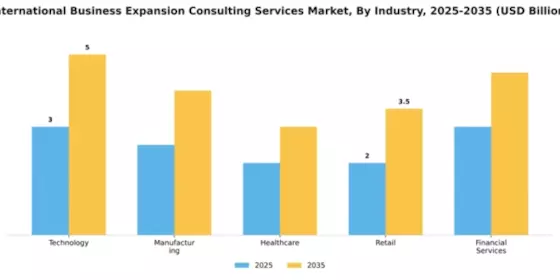 International Business Expansion Consulting Services Market Segment Image 2