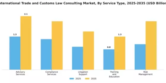 International Trade and Customs Law Consulting Market Segment Image 3