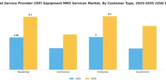 Internet Service Provider (ISP) Equipment MRO Services Market Segment Image 1