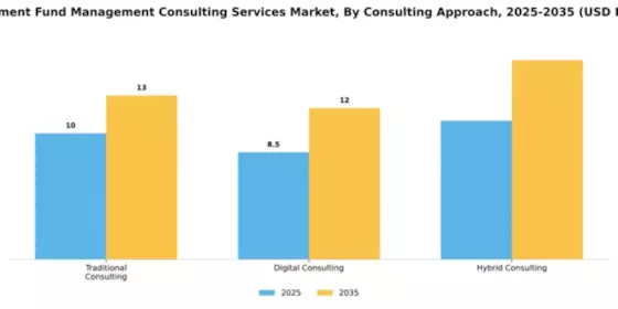 Investment Fund Management Consulting Services Market Segment Image 1