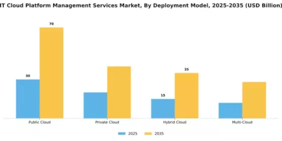 IT Cloud Platform Management Services Market Segment Image 0