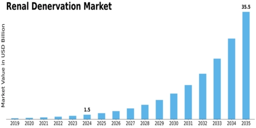 Renal Denervation Market Size