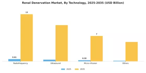 Renal Denervation Market Segment Image 1