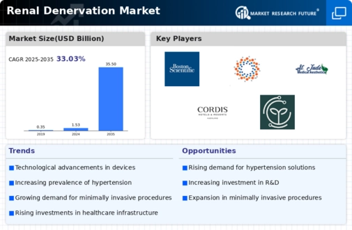 Renal Denervation Market Infographic